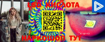 гидра Моздок