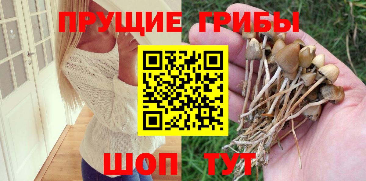 Галлюциногенные грибы прущие грибы  Галлюциногенные грибы MAGIC MUSHROOMS  Туапсе  Вход с VPN 