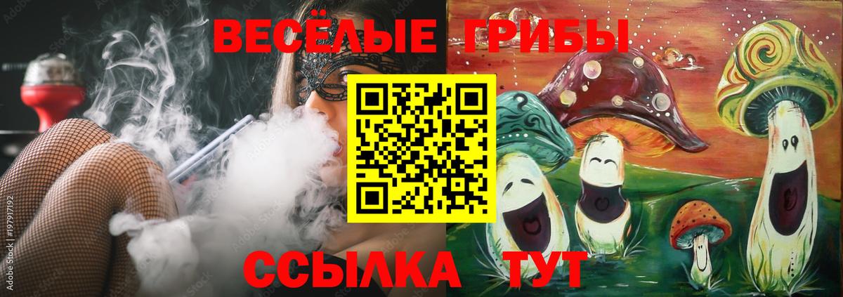Псилоцибиновые грибы мухоморы Туапсе